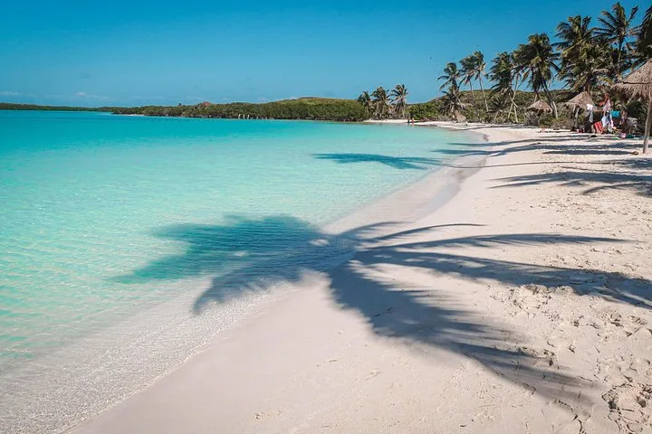 Palm-shaded white sand and turquoise shallows on Isla Contoy, reached on an island-hopping Playa del Carmen boat tour, Mexico