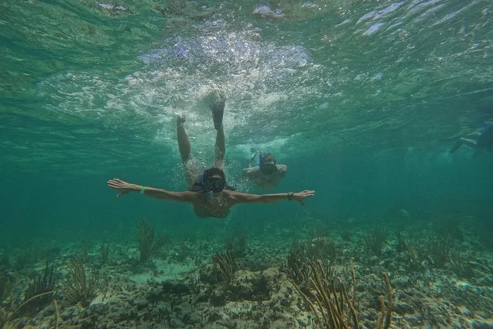 Snorkelers diving over the reef off Maroma Beach on a catamaran Playa del Carmen boat tour, Riviera Maya, Mexico